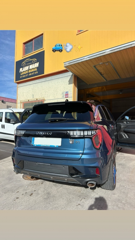 Lavado de coches manual